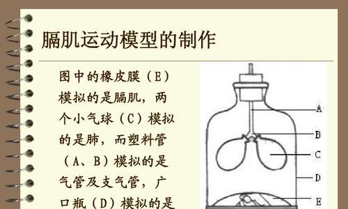 1000米跑步呼吸技巧教学反思总结（如何正确呼吸，提高跑步效率）