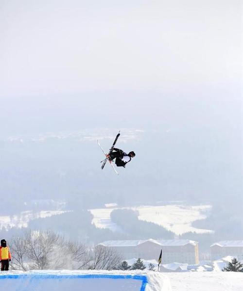 冬奥自由式滑雪坡面障碍技巧决赛（挑战极限）