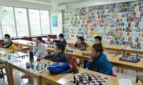 国际象棋大师的技巧（攻防一体化的博弈术）