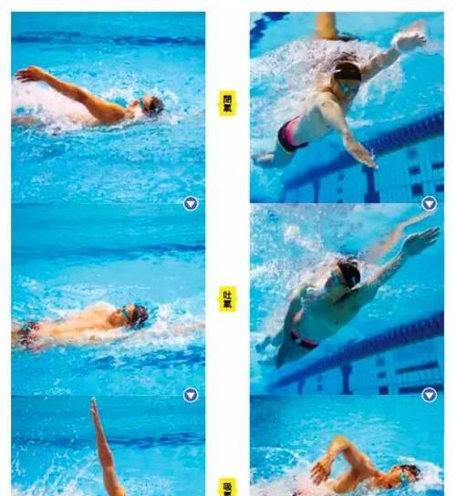 如何学好自由泳换气（掌握正确技巧）