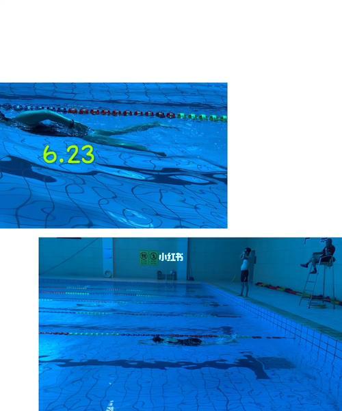 自由泳双臂呼吸换气教学（如何正确地进行自由泳换气）