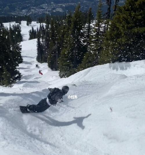 黑道滑雪技巧（挑战极限风骚滑行）