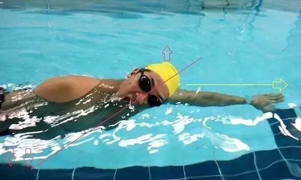 自由泳换气手臂练习法剖析（从抬高一边低的动作角度分析关键技巧）