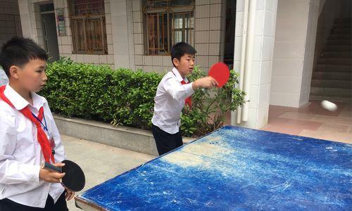 乒乓球接球基础技巧教学（打造高效稳健的接球技术）