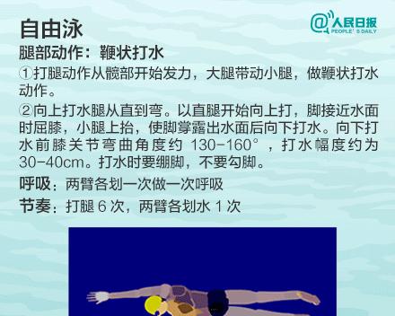 自由泳双边换气训练的技巧和注意事项（如何提高双边换气的效果与水平）