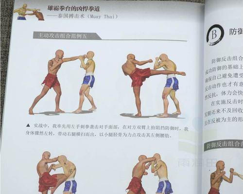 象棋双杀技巧教程（大师级攻防战术讲解）