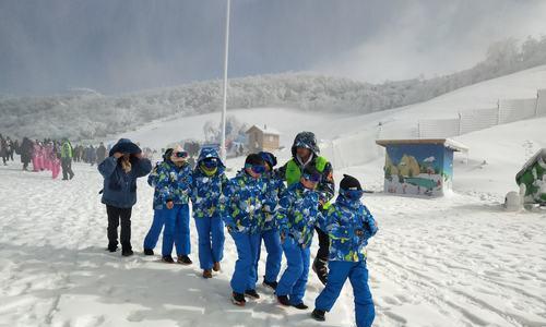 滑雪包安装技巧（轻松安装滑雪包一键出行畅享滑雪）