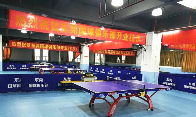 乒乓球台面刷漆技巧（打造完美的乒乓球台面）