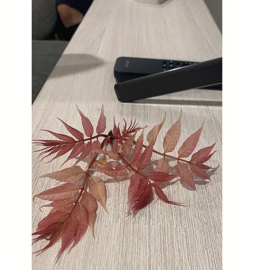 足球吃蚊子肉技巧是什么？如何有效掌握？