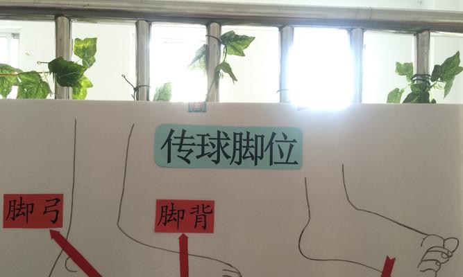 足球传球技巧教学有哪些常见问题？如何有效提高传球准确性？