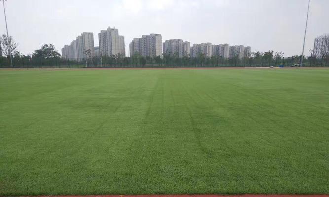 足球场铺设技巧有哪些内容？如何确保场地质量与耐用性？
