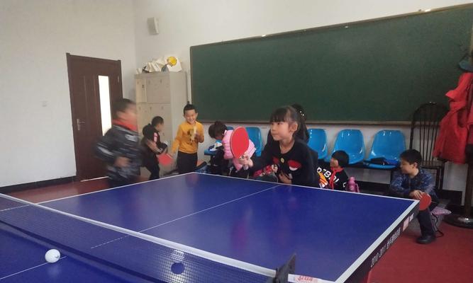 乒乓球道具搭配技巧大揭秘（挑选合适球拍和球的技巧及注意事项）