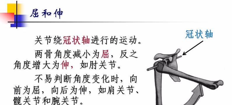 仰泳前滚翻转身技巧是什么？如何正确掌握？