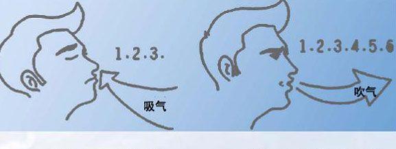 游泳换气时口吸鼻呼的科学原理是什么？