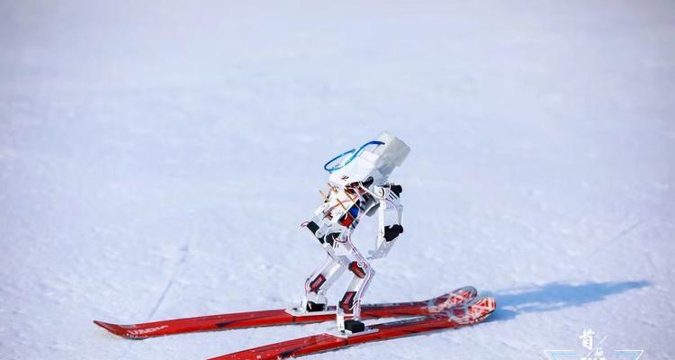 滑雪刹车技巧初学者必学（掌握正确的技巧）
