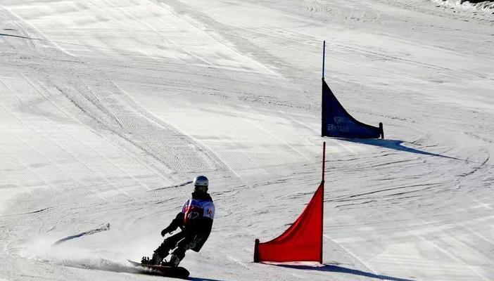 单板滑雪坡道技巧赛举办地点是哪里？参赛者需了解哪些信息？
