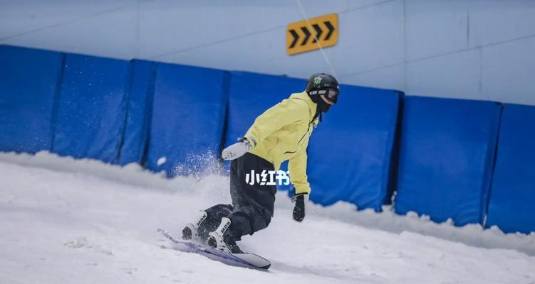 零基础滑雪入门指南（以技巧为主）