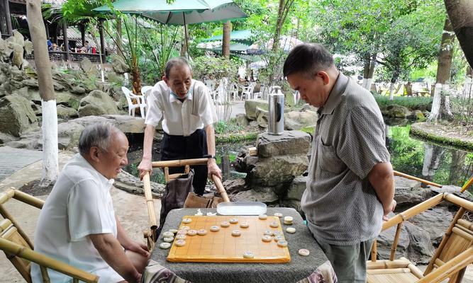 初学象棋必备技巧（学习象棋的新手指南）