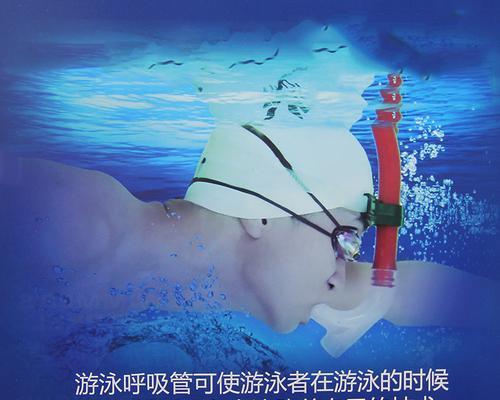 游泳初学者如何呼吸换气？掌握正确的换气技巧有哪些？