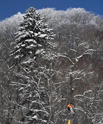 单板滑雪男子坡面障碍技巧比赛申诉流程是怎样的？