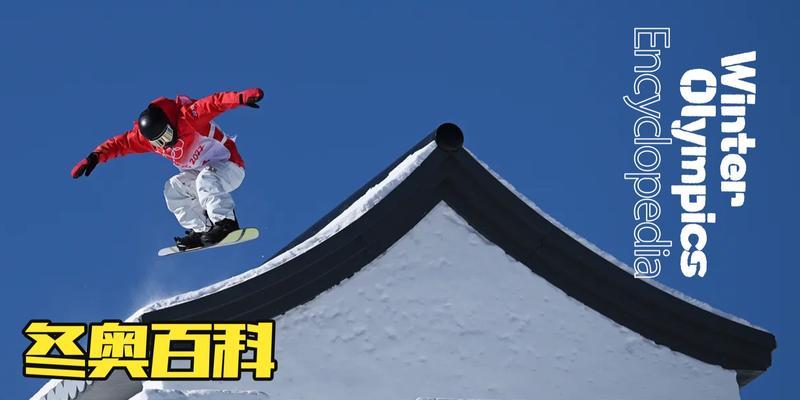 滑雪坡面障碍技巧世界排名如何查询？最新排名有哪些变化？
