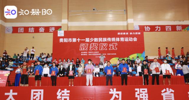 大禾象棋专栏实用技巧有哪些？如何快速提高象棋水平？