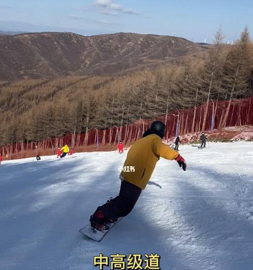 单板滑雪技巧全揭秘（轻松掌握单板滑雪的使用技巧）