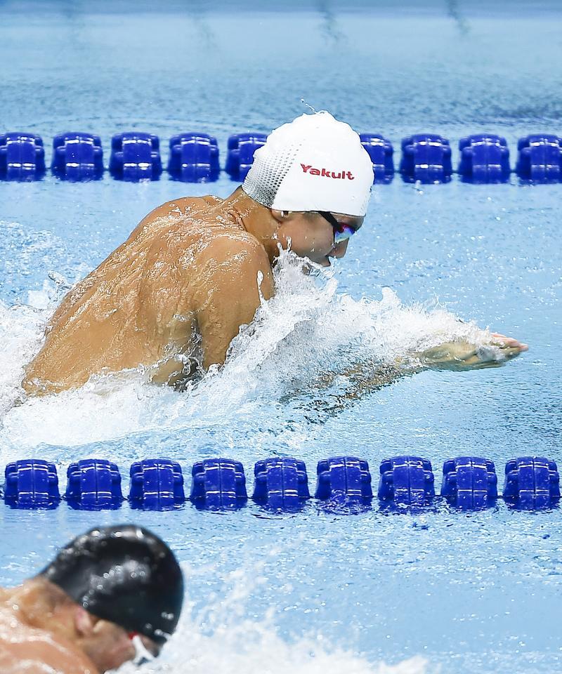 蛙泳换气技巧有哪些？如何正确进行蛙泳呼吸？