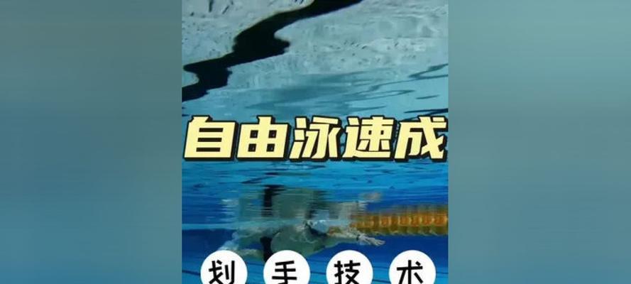 自由泳划手与换气诀窍是什么？如何提高游泳效率？